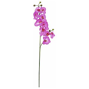 Europalms Orchidspray, purple, 100cm, Sztuczny kwiat 1/2
