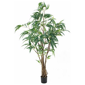 Europalms Ficus Longifolia, thick trunk, 180cm , Sztuczne drzewo 1/3