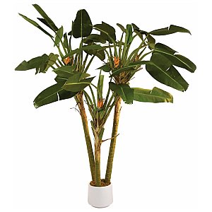 Europalms Paradise palm, 250cm, Sztuczna palma 1/2