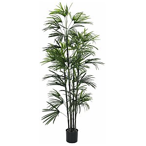 Europalms Fan Palm seedling, 150cm Sztuczna palma 1/2