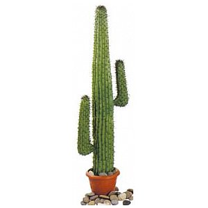 Europalms Mexican Cactus, green, 140cm, Sztuczny kaktus 1/3