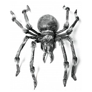 EUROPALMS Olbrzymi pająk - Monsterspider około 130cm 1/3