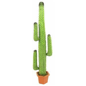 Europalms Mexican Cactus, green, 170cm, Sztuczny kaktus 1/3
