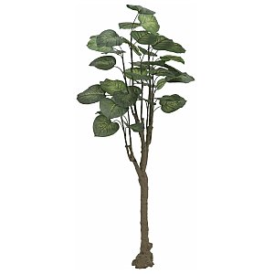 EUROPALMS Drzewo pothos, sztuczna roślina, 150 cm 1/2