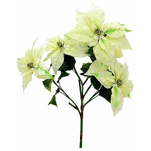 Europalms Poinsettia bush, cream, 60cm , Sztuczny kwiat 1/2