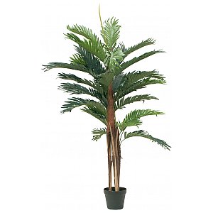 EUROPALMS Kentia palma, sztuczna roślina, 120 cm 1/4