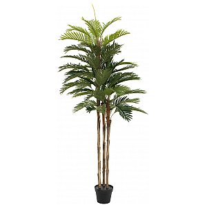EUROPALMS Kentia palma, sztuczna roślina, 150 cm 1/4