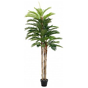 EUROPALMS Kentia palma, sztuczna roślina, 180 cm 1/4