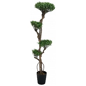 EUROPALMS Drzewo bonsai, wielopień, sztuczna roślina, 170 cm 1/3