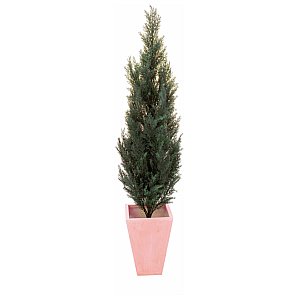 Europalms Cypress, 140cm, Sztuczna roślina 1/2