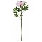 EUROPALMS Kwiat Piwonia classic, sztuczna roślina, różowy, 80 cm