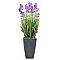 Europalms Lavender, purple, in pot, 45cm, Sztuczna roślina