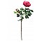 EUROPALMS Kwiat Piwonia premium, sztuczna roślina, magenta, 100 cm