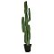 EUROPALMS Kaktus meksykański, sztuczna roślina, zielony, 123 cm
