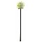 Europalms Sztuczny kwiat Allium kremowy 55cm