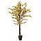 EUROPALMS Drzewo Forsycja z 3 pniami, sztuczna roślina, żółty, 150 cm