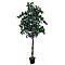 Europalms Sztuczne drzewko Bougainvillea lawendowa 180cm