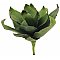 Europalms  Agave (EVA), green, 45cm, Sztuczna roślina