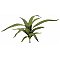 Europalms Aloe (EVA), green, 66cm, Sztuczna roślina