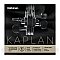 D'Addario Kaplan Golden Spiral Solo Loop End Pojedyncza struna do skrzypiec E String, 4/4 Light Tension