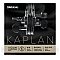 D'Addario Kaplan Golden Spiral Solo Pojedyncza struna do skrzypiec E String, 4/4 Light Tension