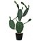 EUROPALMS Kaktus nopal, sztuczna roślina, 76 cm