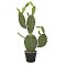 EUROPALMS Kaktus nopal, sztuczna roślina, 75 cm
