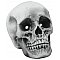 EUROPALMS Dekoracje na Halloween czaszka 21x15x15cm LED