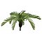 EUROPALMS Cycas Paproć, sztuczna roślina, 50 cm