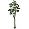 EUROPALMS Drzewo pothos, sztuczna roślina, 150 cm