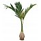 EUROPALMS Palma Phoenix, sztuczna roślina, 240 cm trudnopalna