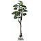 EUROPALMS Drzewo pothos, sztuczna roślina, 175 cm