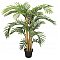 EUROPALMS Kentia palma, sztuczna roślina, 140 cm