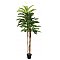 EUROPALMS Kentia palma, sztuczna roślina, 180 cm