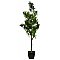 EUROPALMS Podocarpus, sztuczna roślina, 90 cm