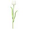 EUROPALMS Kryształowy tulipan, sztuczny kwiat, biały 61 cm 12x