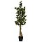 EUROPALMS Podocarpus, sztuczna roślina, 115 cm