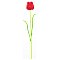 EUROPALMS Kryształowy tulipan, sztuczny kwiat, czerwony 61cm 12x
