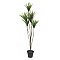 EUROPALMS Palma z jukki, sztuczna roślina, 130 cm