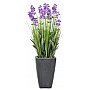 Europalms Lavender, purple, in pot, 45cm, Sztuczna roślina