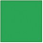Rosco Supergel MOSS GREEN #89 - Arkusz