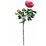 EUROPALMS Kwiat Piwonia premium, sztuczna roślina, magenta, 100 cm