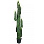 EUROPALMS Kaktus meksykański, sztuczna roślina, zielony, 173 cm