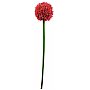Europalms Kwiat Allium czerwony 55cm, Sztuczny