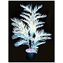 Europalms Palma Kentia aktywna UV na biało 170cm, Sztuczna palma UV