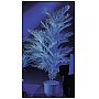 Europalms Palma Kentia aktywna w UV na biało 90cm