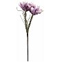 EUROPALMS Kwiat magnolii (EVA), sztuczny, fioletowy