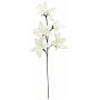 EUROPALMS Clematis Branch (EVA), sztuczny kwiat, biały