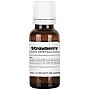 Showgear Fog Fluid Scent Strawberry 20 ml - koncentrat zapachowy do wytwornic truskawkowy