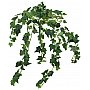 EUROPALMS Krzew bluszczu, sztuczny, 50 cm